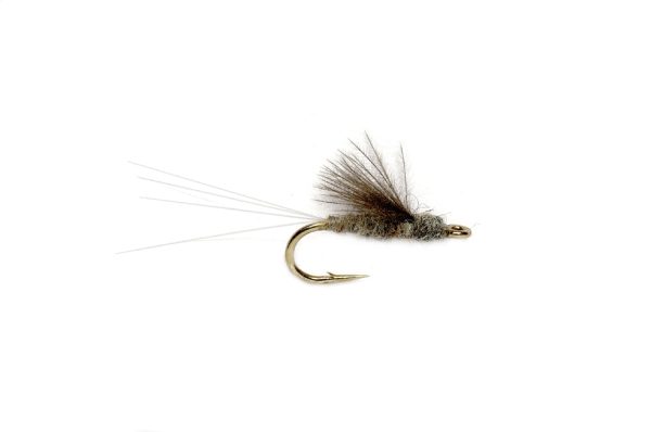 RS2 GRAY For Discount
