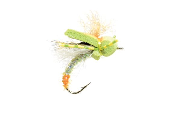 Moodah Poodah Olive Online Hot Sale