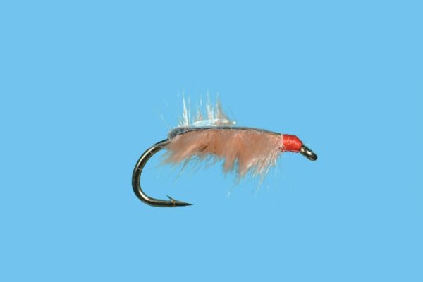Sow Bug - Tan Discount