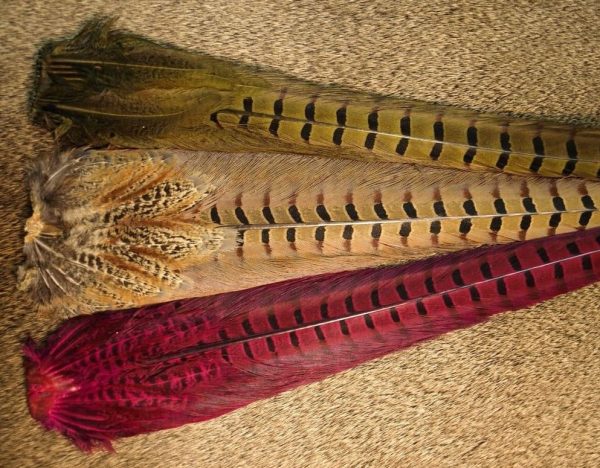 Ringneck Pheasant Tail Clumps For Discount